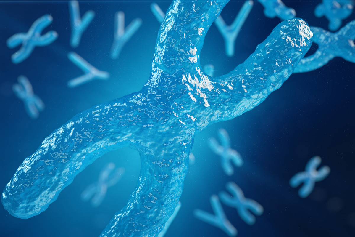 Conceptual 3D illustration of an X chromosome with 'Y' chromosomes floating behind it