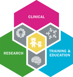 psychology infographic model of care, combining clinical, research, training and education pillars