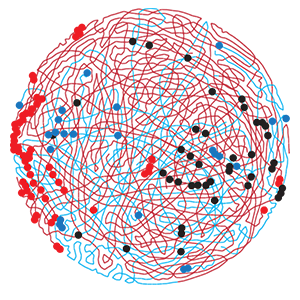 Red and blue chromosomal arms swirl in a circle, with red, blue and black dots heavily concentrated on the far left and middle right sides of the circle. 