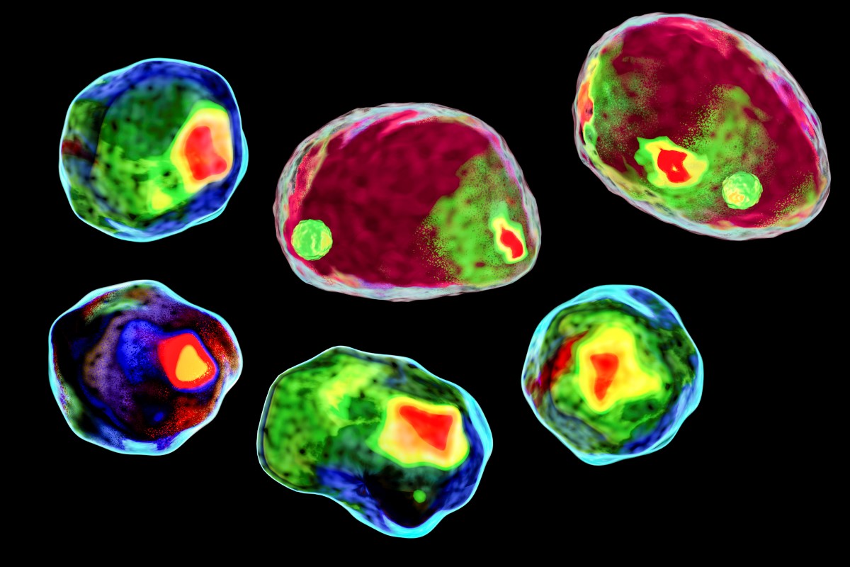 Cytometry brain image