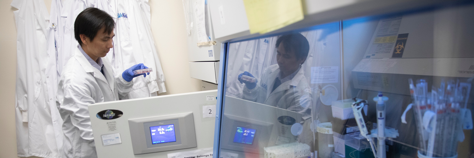 Dr Toan Nguyen conducts research at a lab bench wearing a SickKids lab coat. 