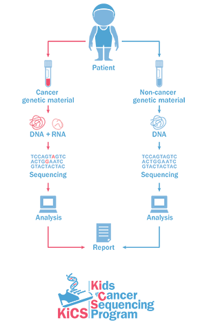 A graphic showing the KiCS process for collecting an analyzing genetic material, beginning with collection, to sequencing of DNA and RNA, to analysis and reporting.