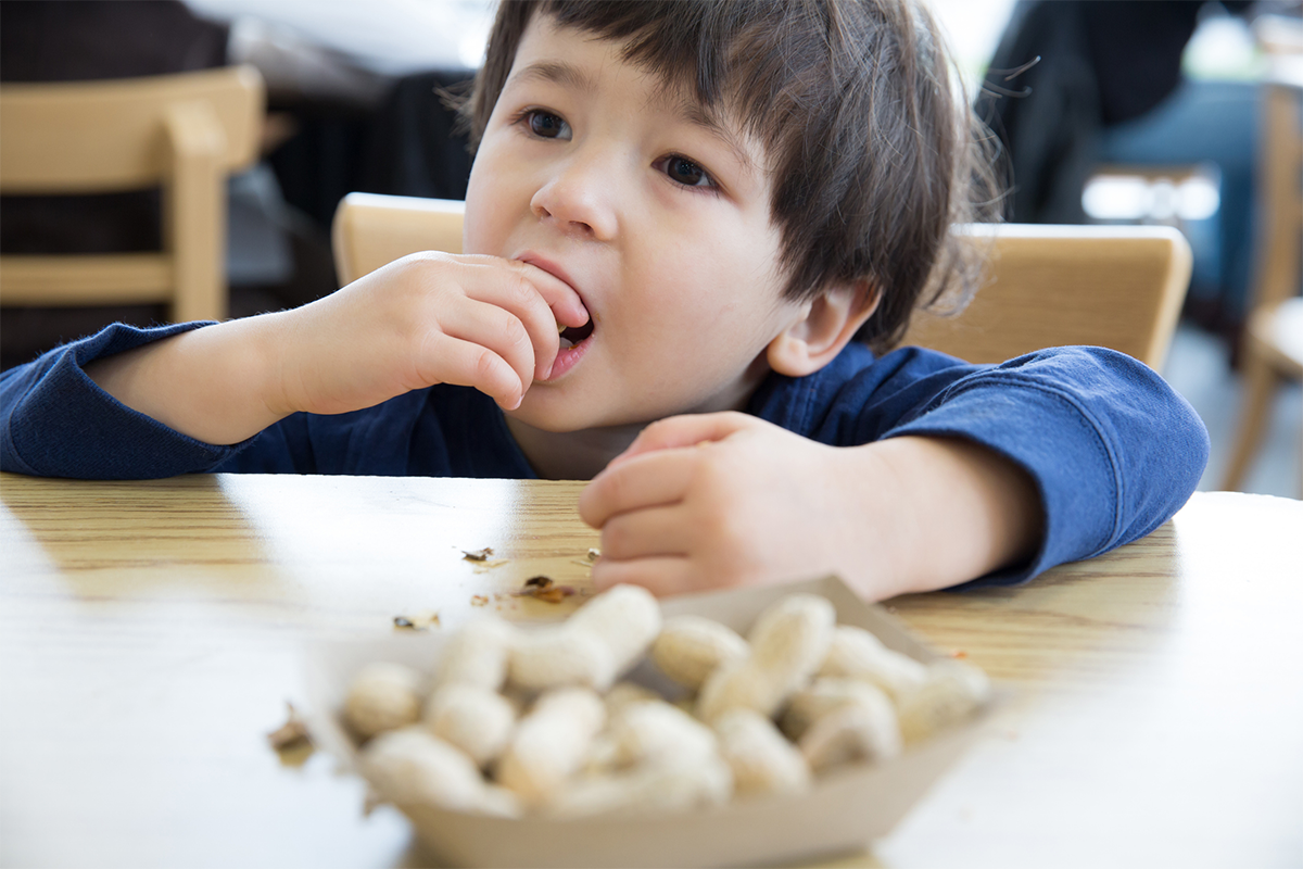A young boy at a table eating peanuts.