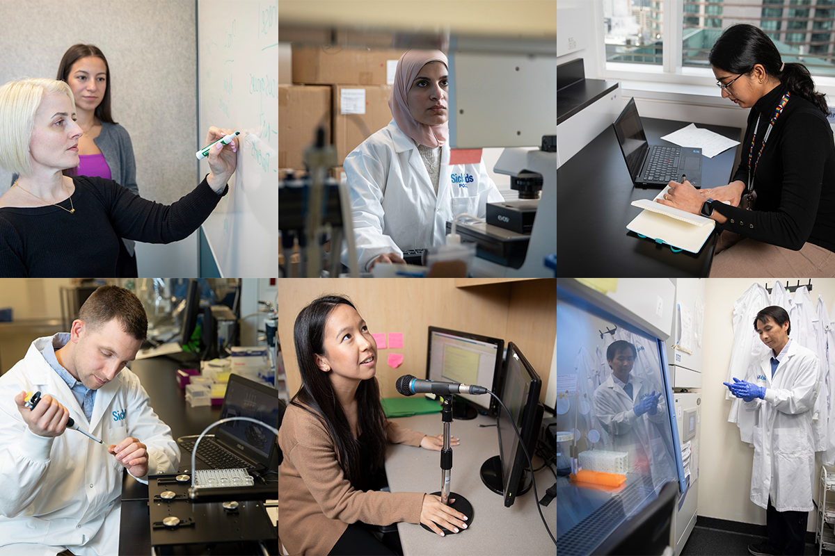 A collage of six photos showing postdocs conducting various types of research at SickKids.