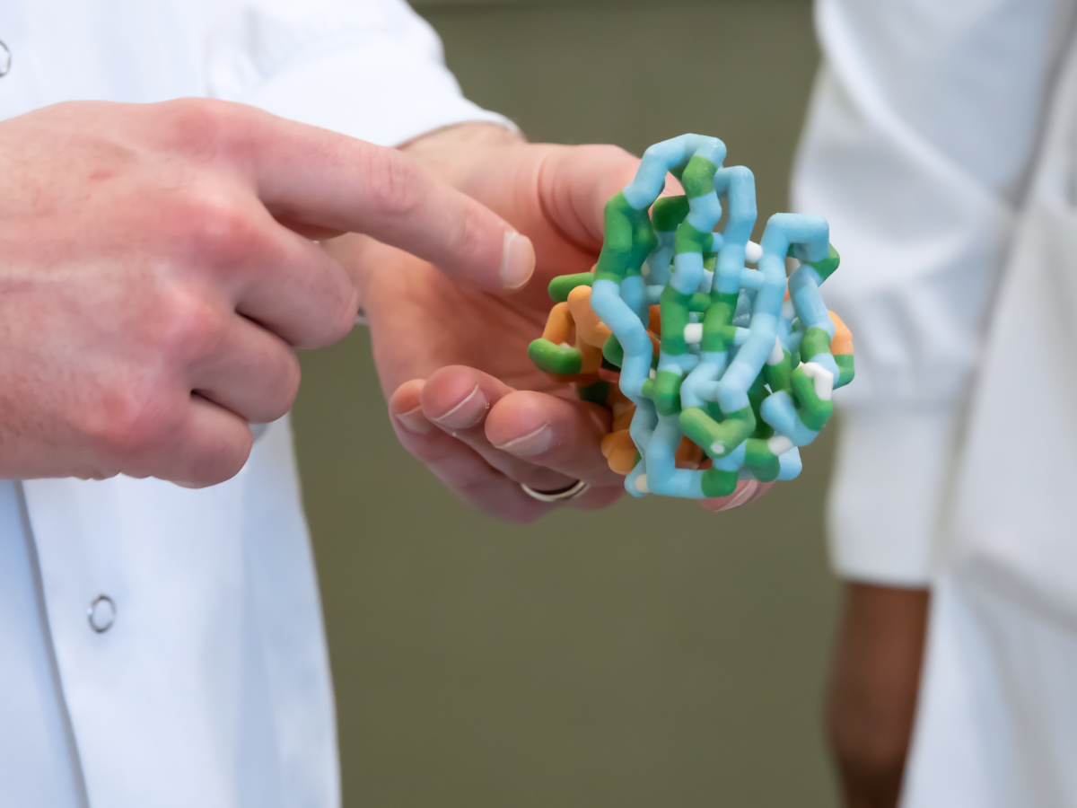 Close-up of hands holding a colorful 3D-printed molecular model showing protein structure, with blue, green, and orange components. Researchers are wearing white lab coats.