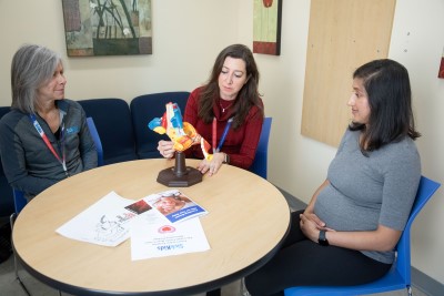 Three people sit around a table during a medical consultation while a clinician shows a heart model and printed health information.