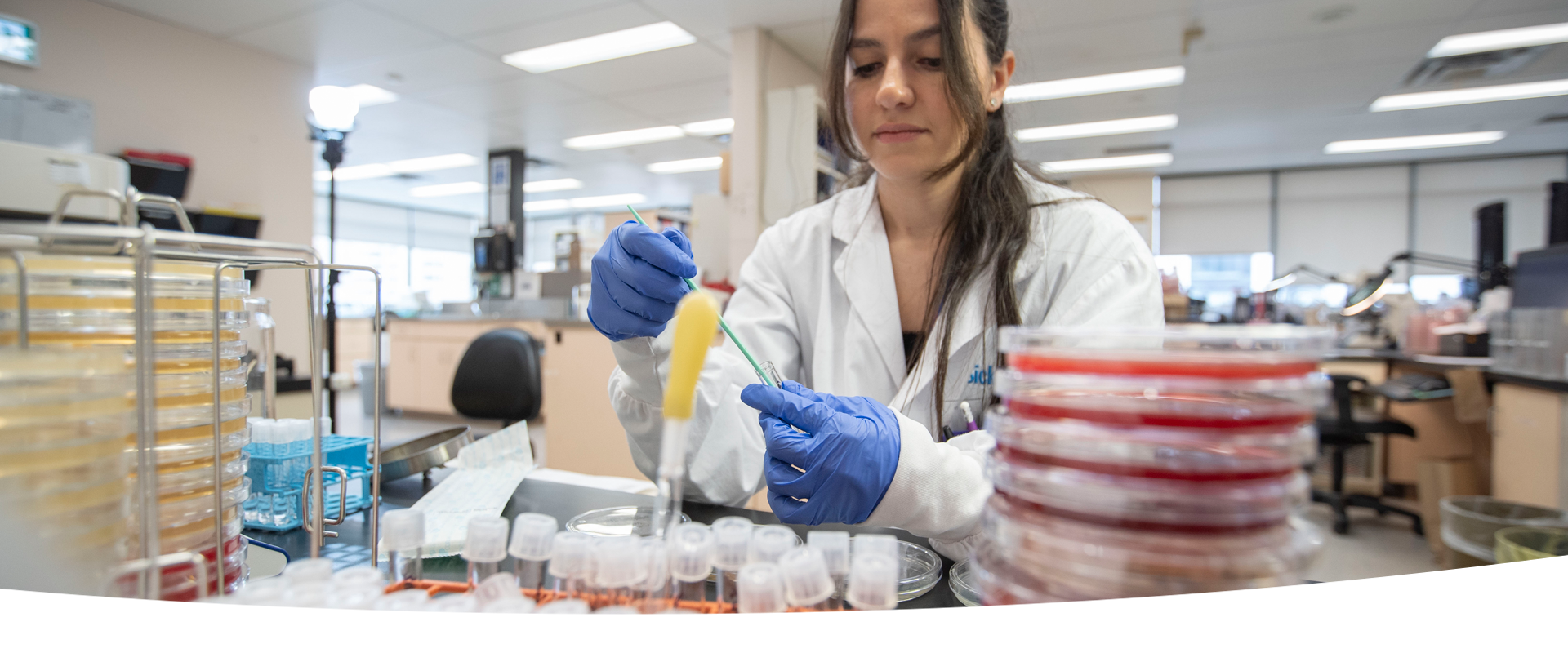 A lab professional wearing a lab coat and blue gloves at a bench examining a sample in a glass tube. In the foreground, there are stacks of petri dishes and glass tubes.