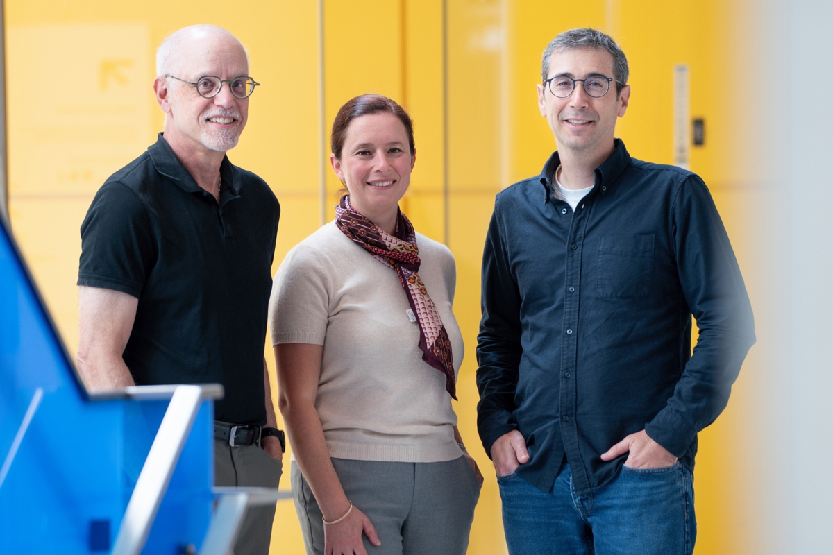 KiCS leads David Malkin, Anita Villani and Adam Shlien