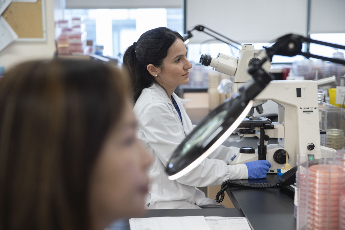Two lab professionals at a bench; the one in the foreground is out of focus, while the other that is in focus is loooking through a microscope.