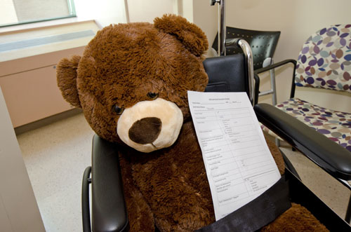 A stuffed teddy bear holding a sheet of paper while strapped in to a wheelchair