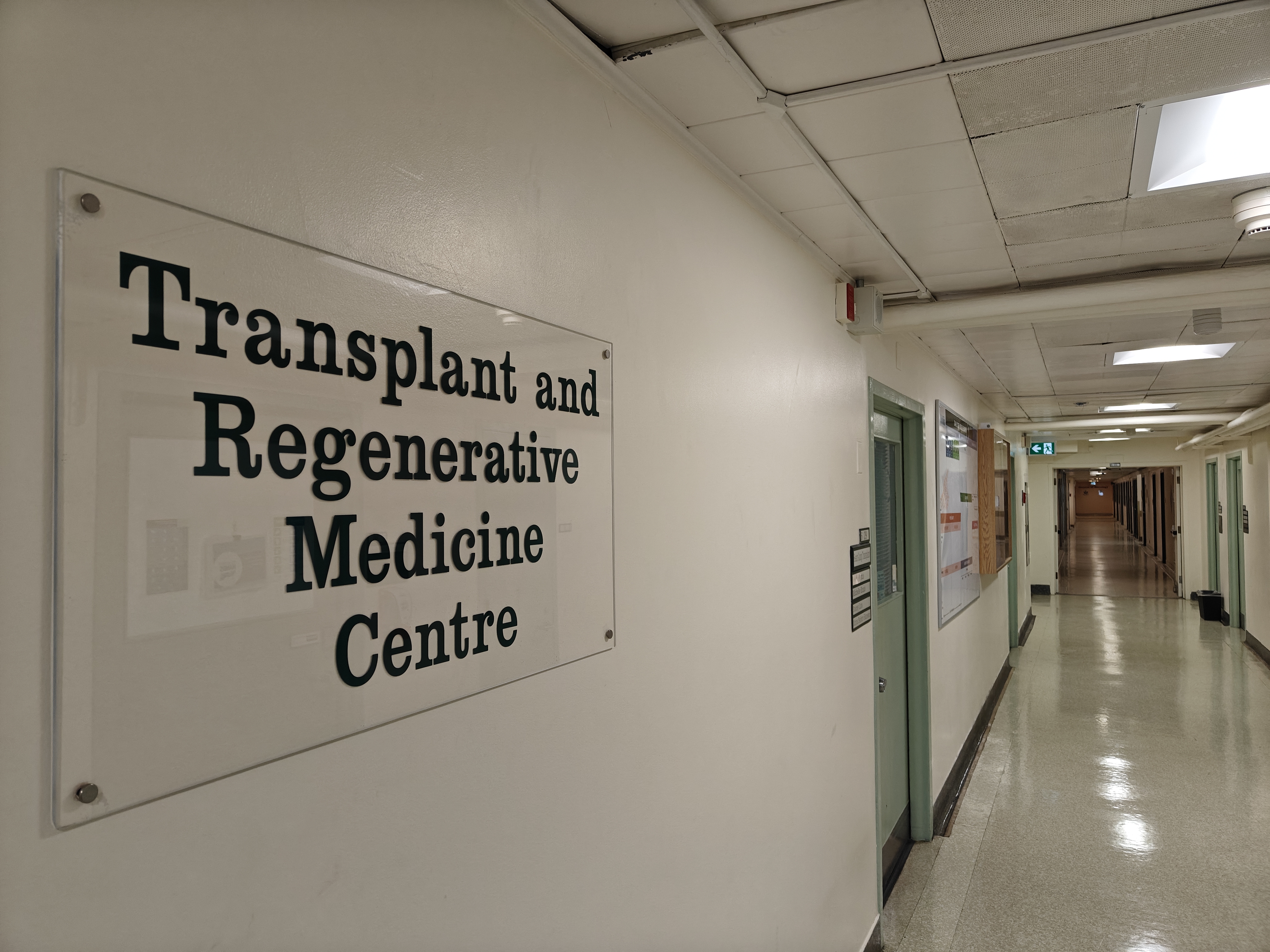 A sign that reads Transplant and Regenerative Medicine Centre on the wall of a hospital hallway.