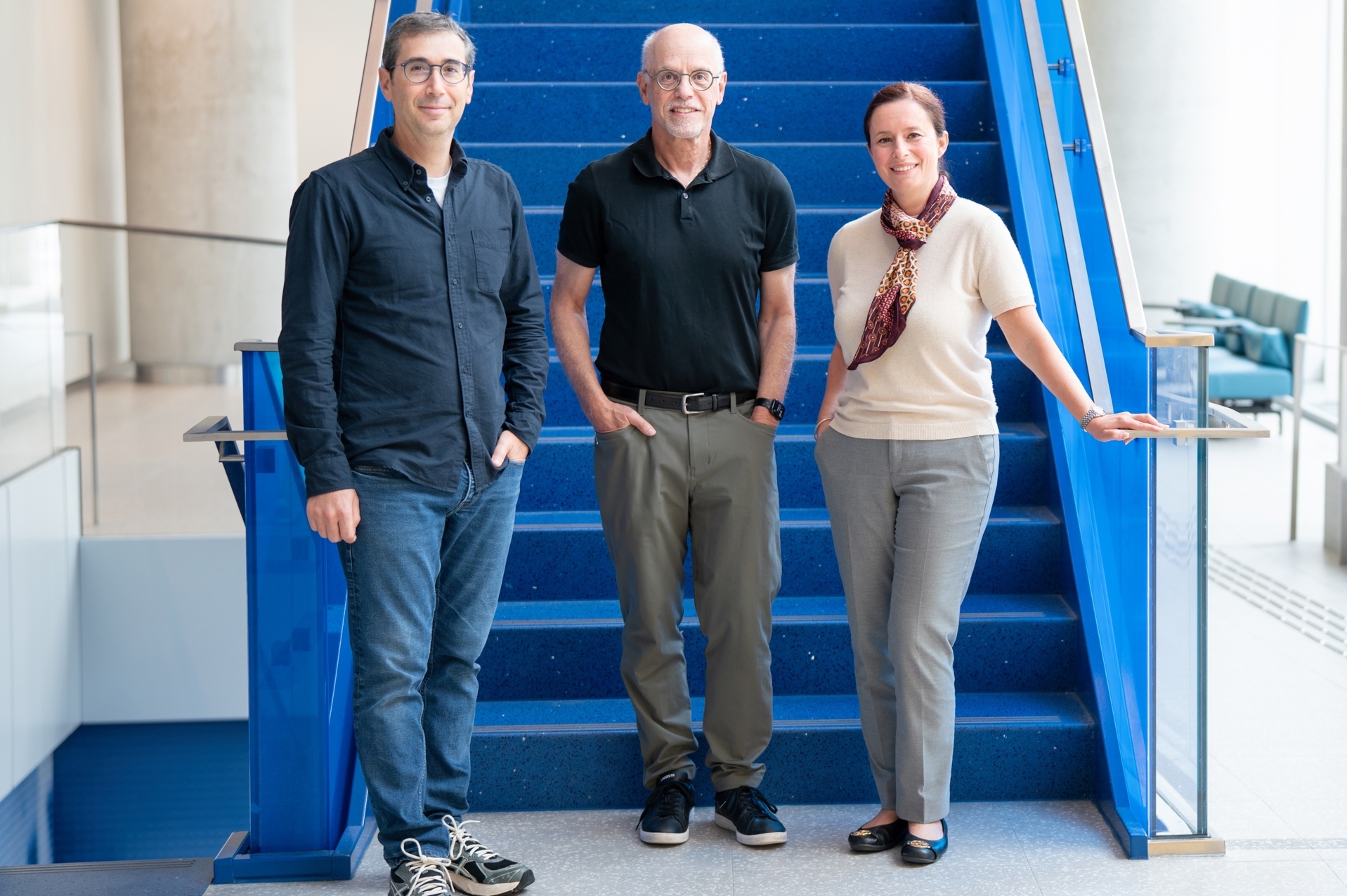 Adam Shlien, David Malkin, Anita Villani